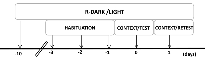 figure-protocol-8621