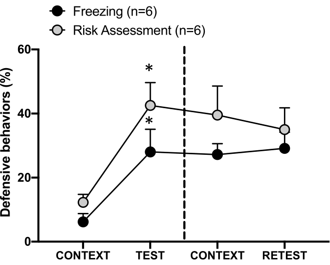 figure-protocol-13424