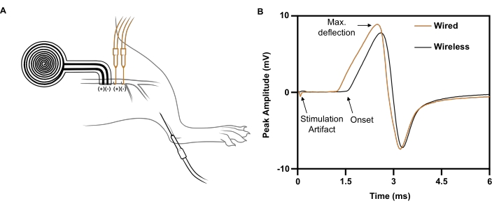 figure-representative results-10502