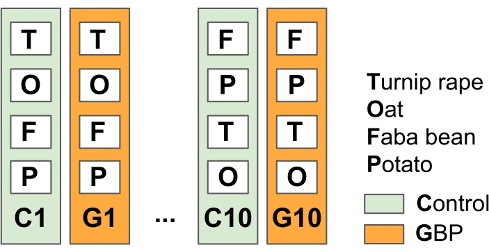 figure-results-4501