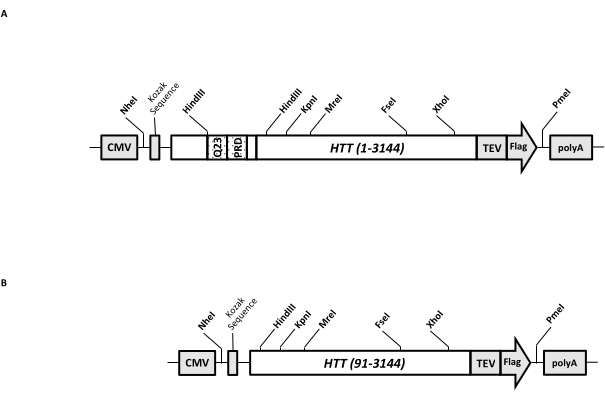 figure-representative results-10627