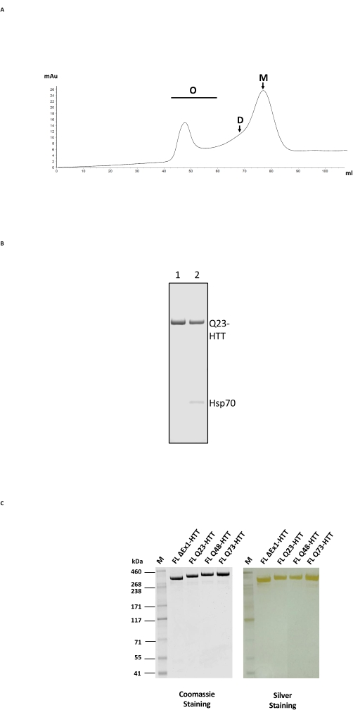 figure-representative results-11859