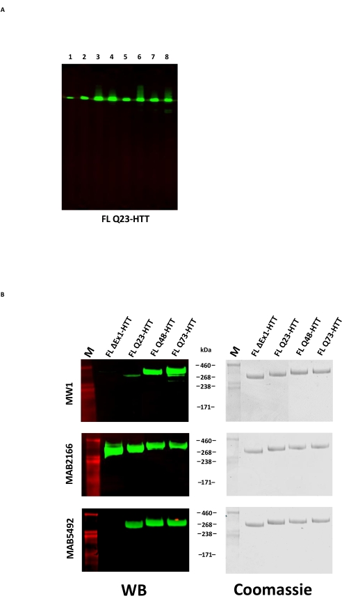 figure-representative results-13054