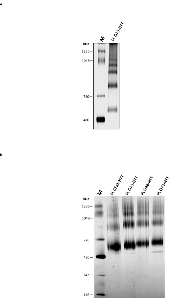 figure-representative results-15511