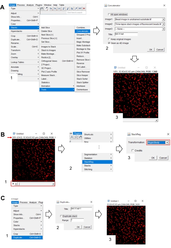 Analyser av Actin Dynamics, ClutchKobling og Trekkraft Force for Growth  Cone Advance