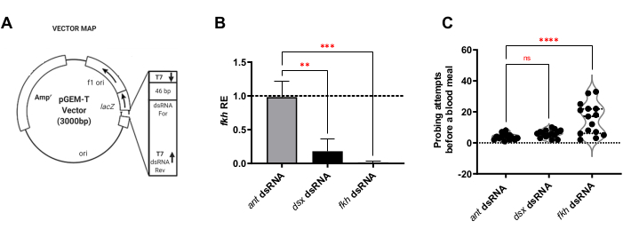 figure-representative results-8632