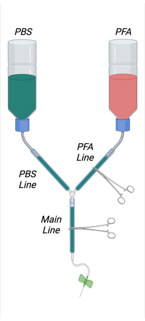 figure-protocol-2897