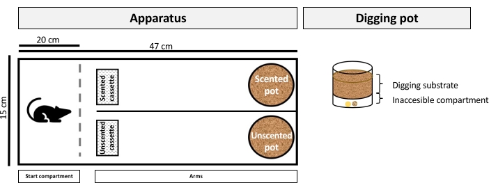 figure-protocol-8542