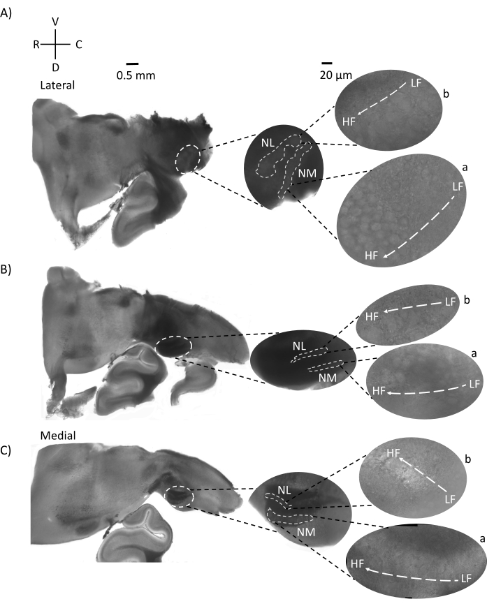 figure-representative results-14786