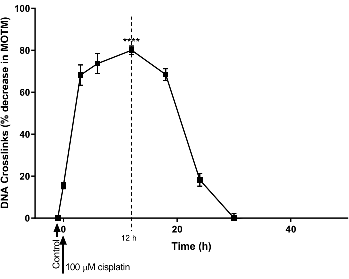 figure-results-13719
