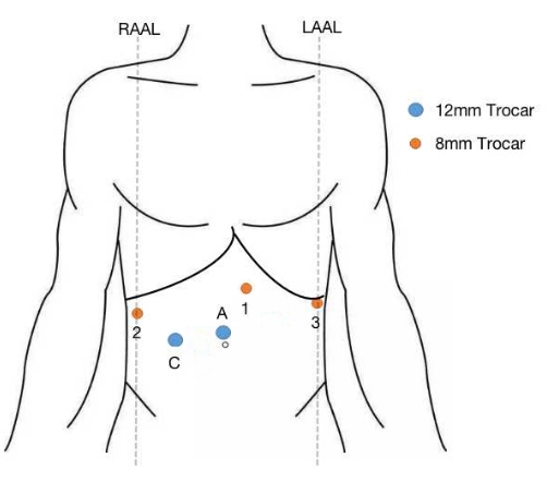 figure-representative results-2692