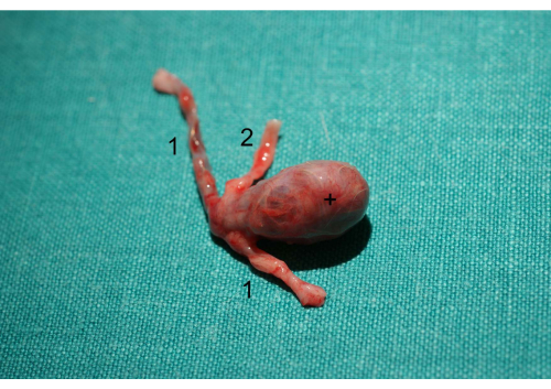 figure-results-1638