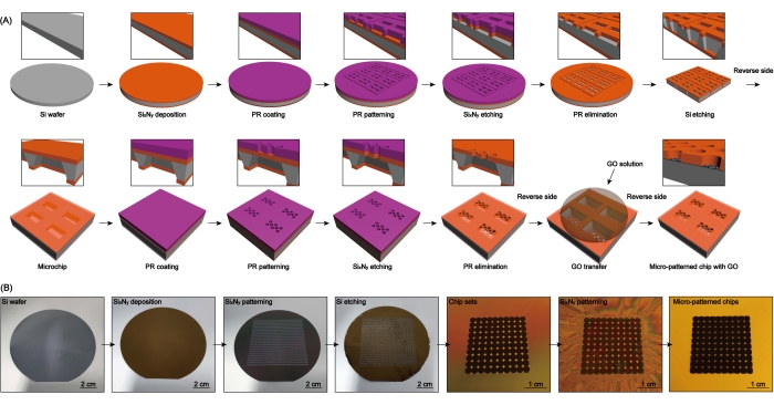 Fabrication of Micro-Patterned Chip with Controlled Thickness for  High-Throughput Cryogenic Electron Microscopy