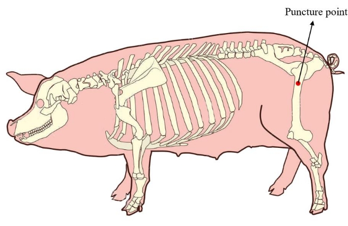 figure-results-4166