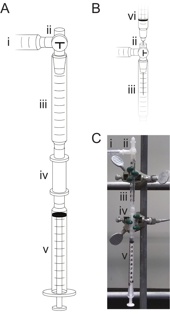 figure-protocol-7328