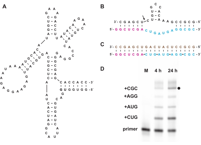 figure-representative results-12471