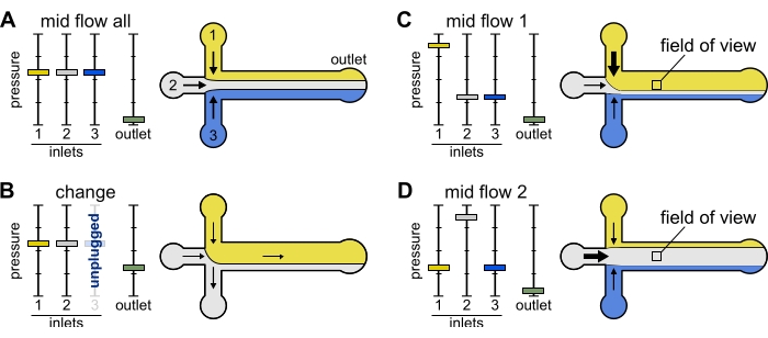 figure-protocol-15465