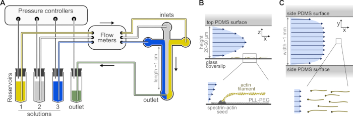 figure-protocol-11016