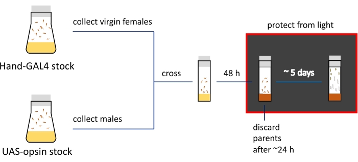 figure-representative results-8154