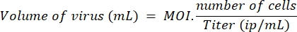 figure-protocol-20408 figure-protocol-20408