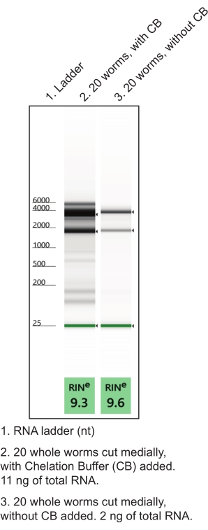 figure-representative results-6840