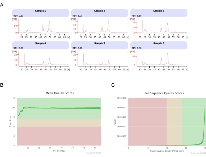 figure-representative results-3837