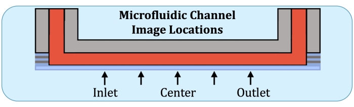 figure-protocol-13230