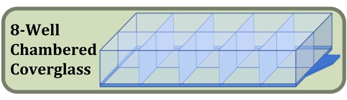 figure-protocol-21492