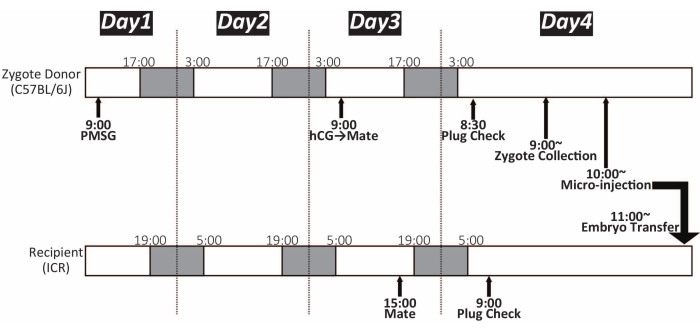 figure-representative results-2131