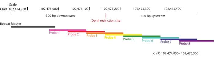 figure-representative results-7042