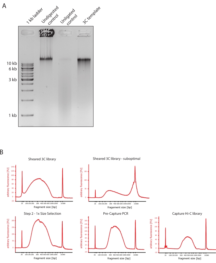 figure-representative results-7804