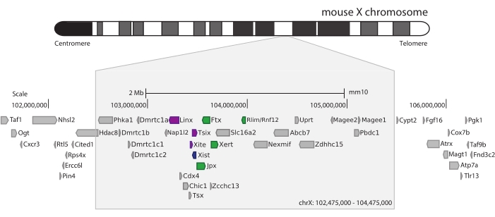 figure-representative results-12470