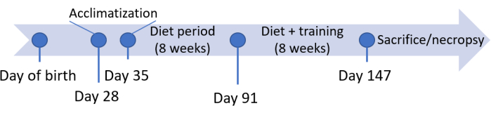 figure-results-3984