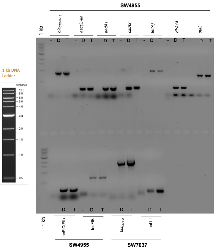 figure-representative results-8296