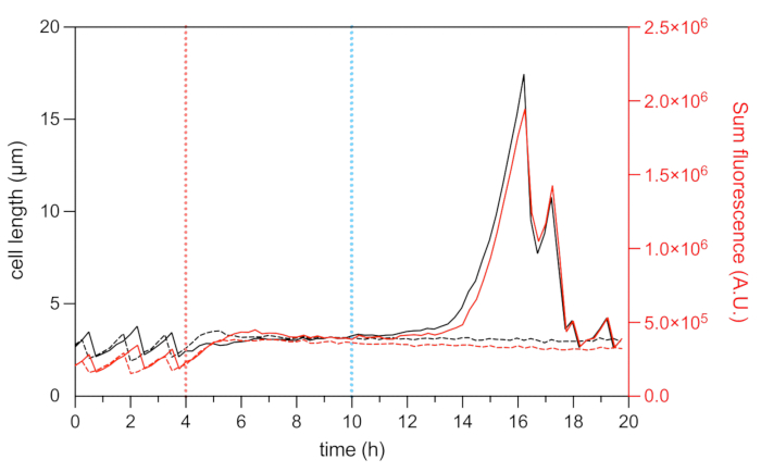 figure-results-16654