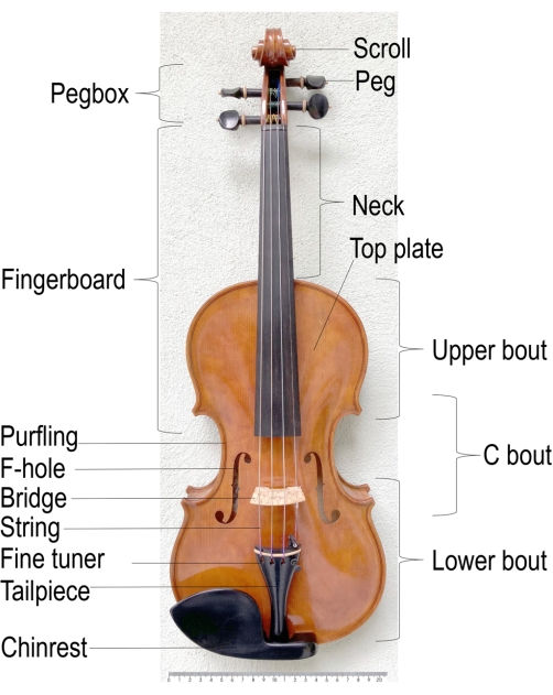 figure-introduction-1616