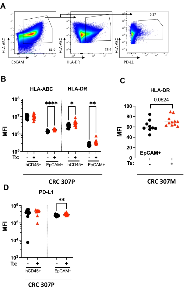 Testing Cancer Immunotherapeutics in a Humanized Mouse Model