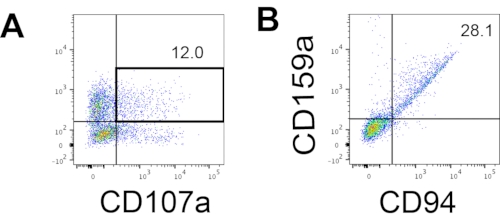 figure-representative results-8585