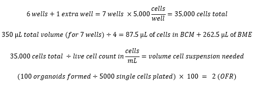 figure-protocol-13700