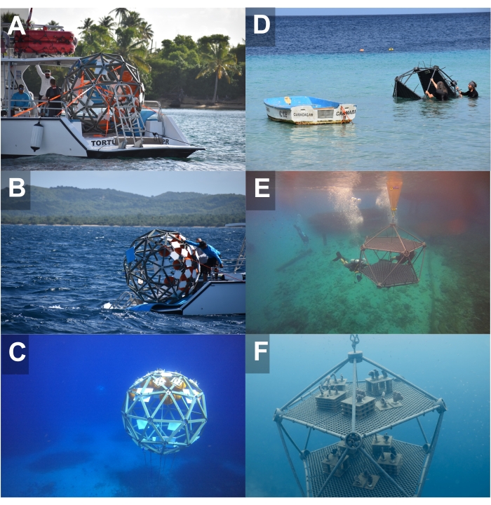 Coral Reef Arks: An In Situ Mesocosm and Toolkit for Assembling Reef  Communities