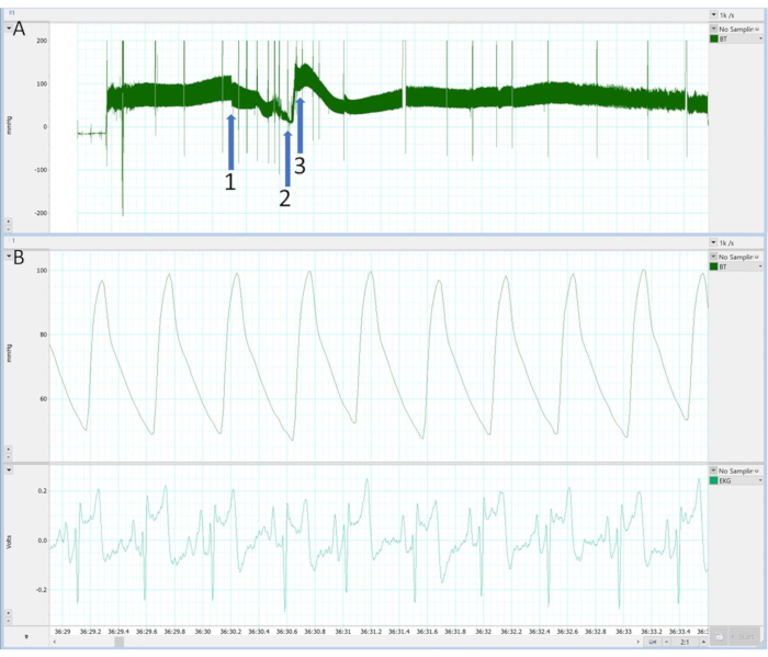 figure-results-2900