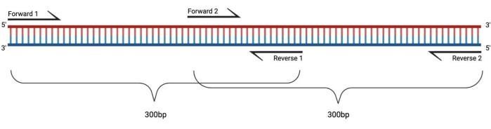 figure-protocol-6465