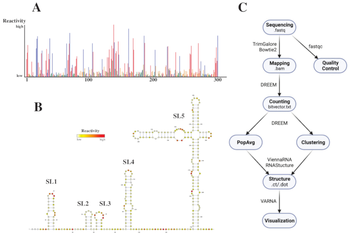 figure-representative results-10053