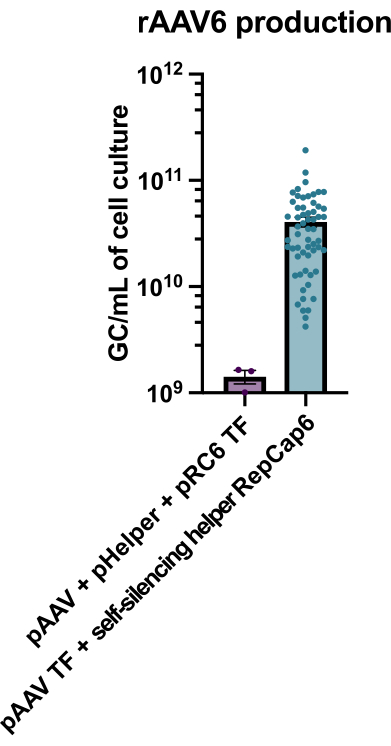 figure-representative results-13281