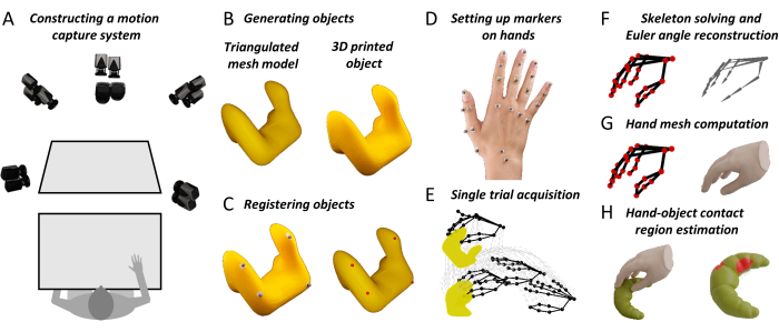 figure-introduction-7815