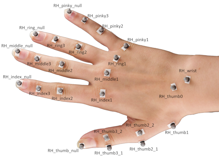 figure-protocol-6636