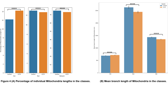 figure-representative results-4796