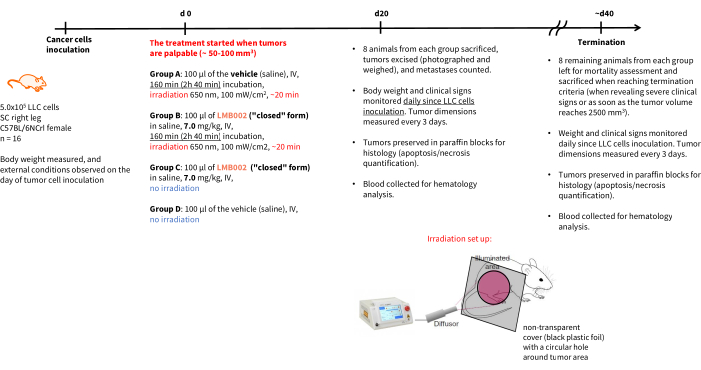 figure-protocol-20009