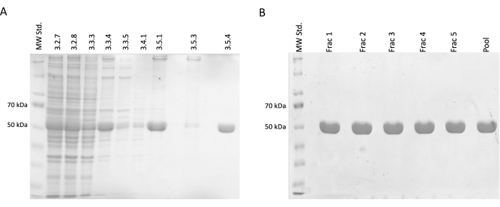 figure-representative results-6634