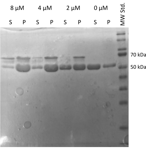 figure-representative results-9243